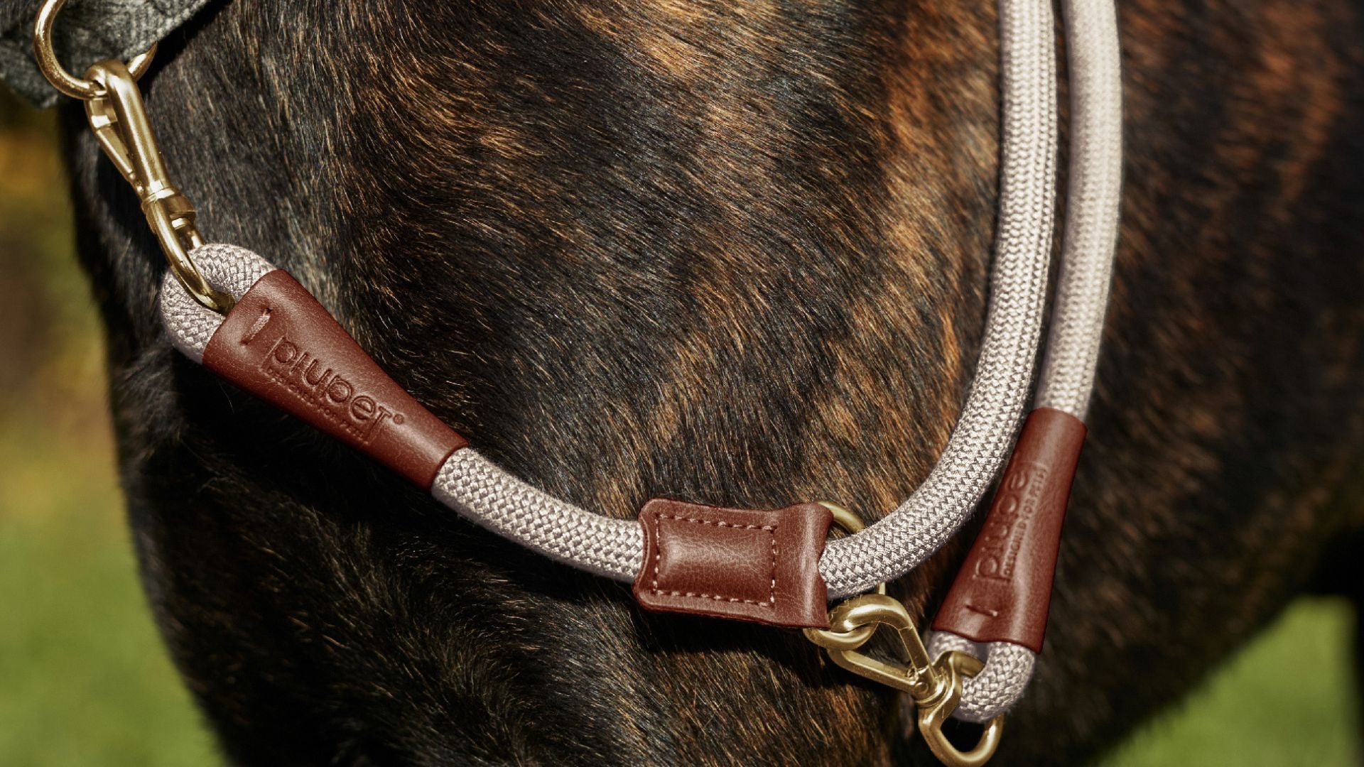 Die perfekte Hundeleine für deinen vierbeinigen Begleiter: Ein Leitfaden