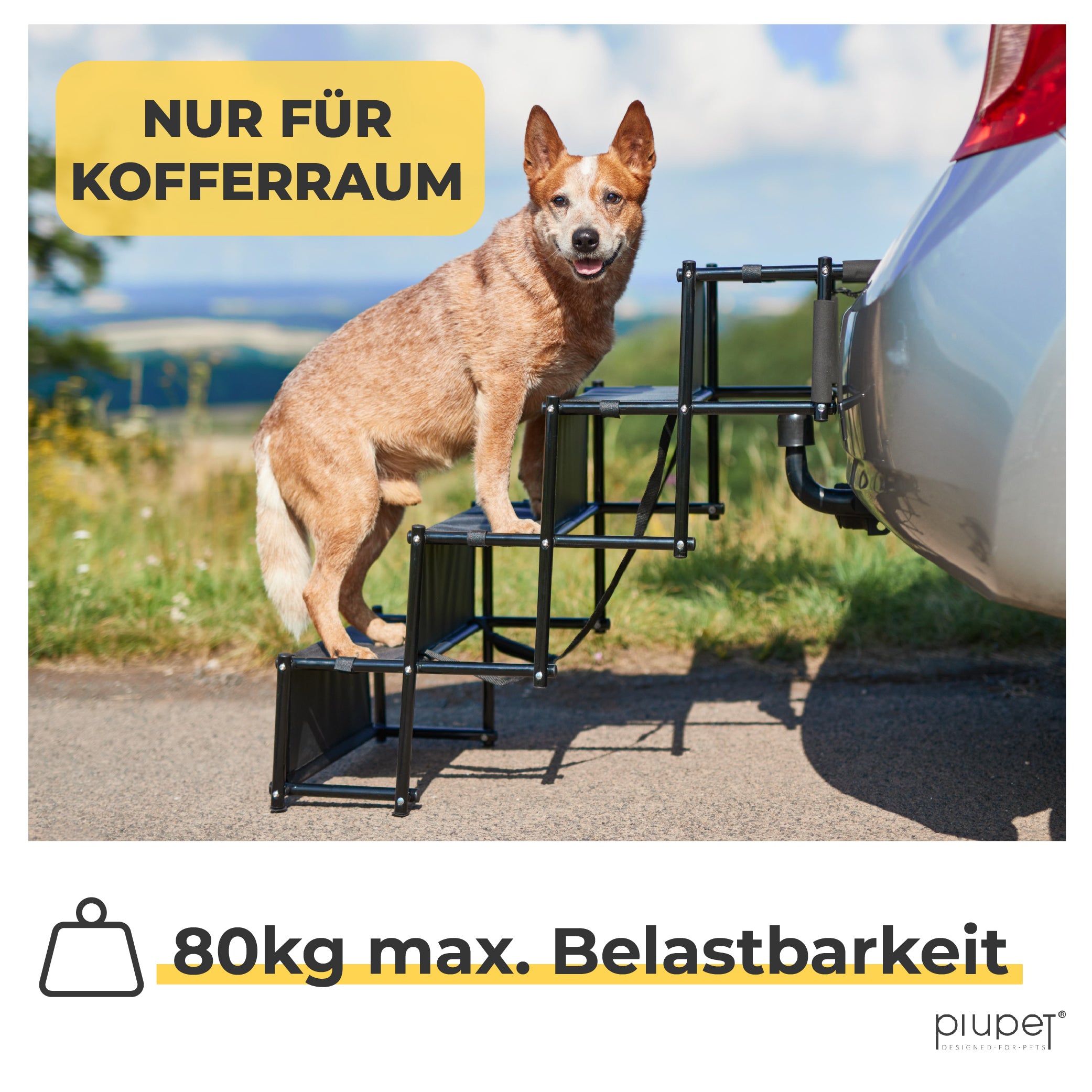 Hund steht auf Hundetreppe. Hundetreppe ist am Kofferraum eines Autos befestigt