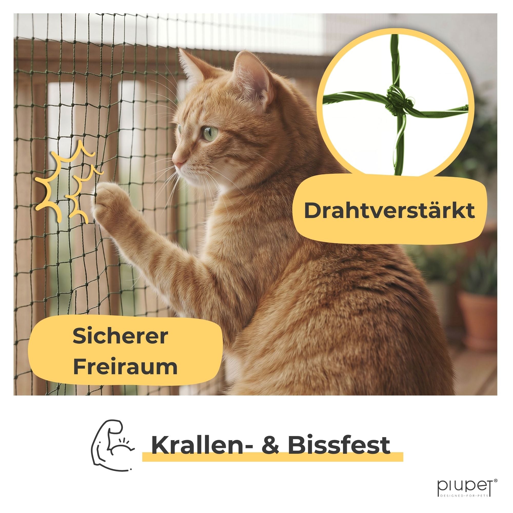 Katzennetz "LUIS"