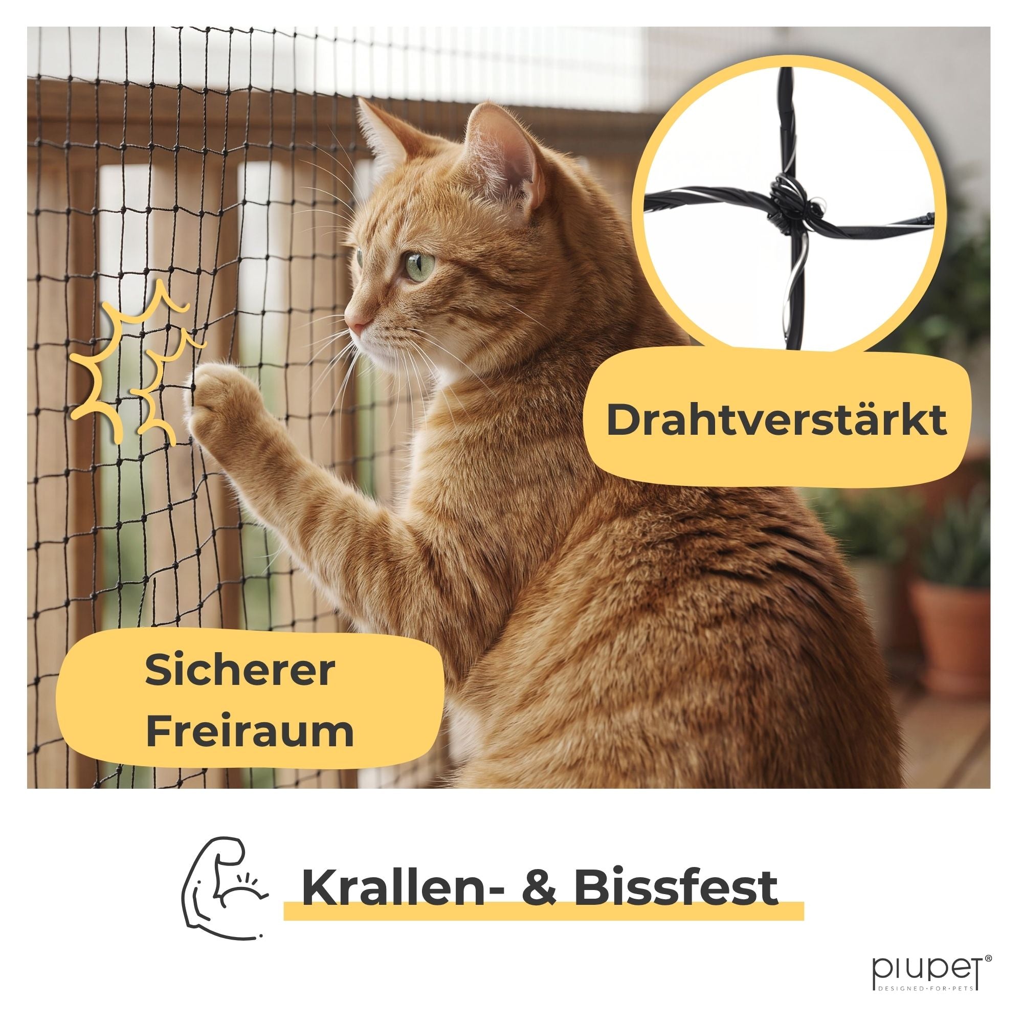 Katzennetz "LUIS"