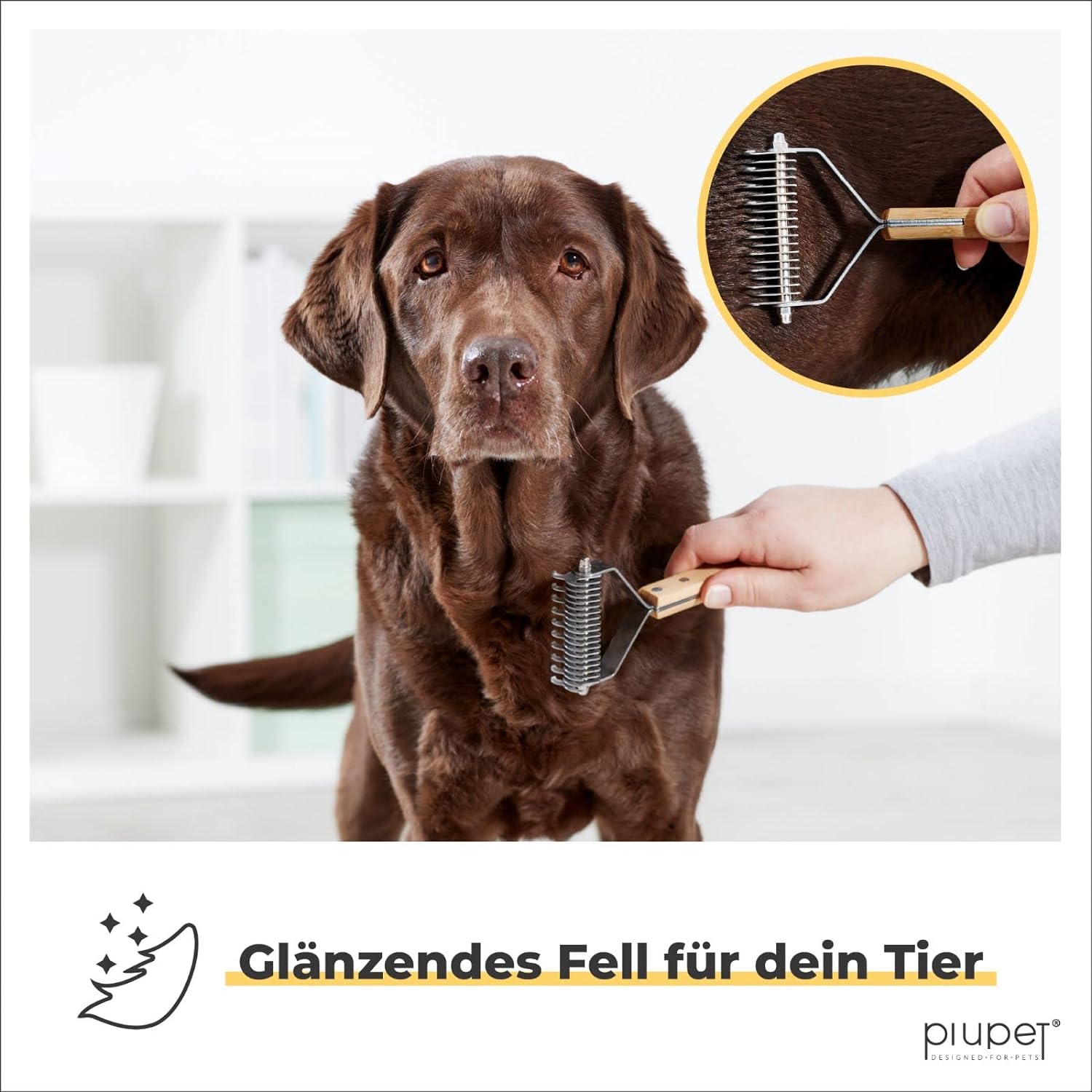 Brauner Hund wird mit einer Fellbürste mit Bambusgriff gebürstet