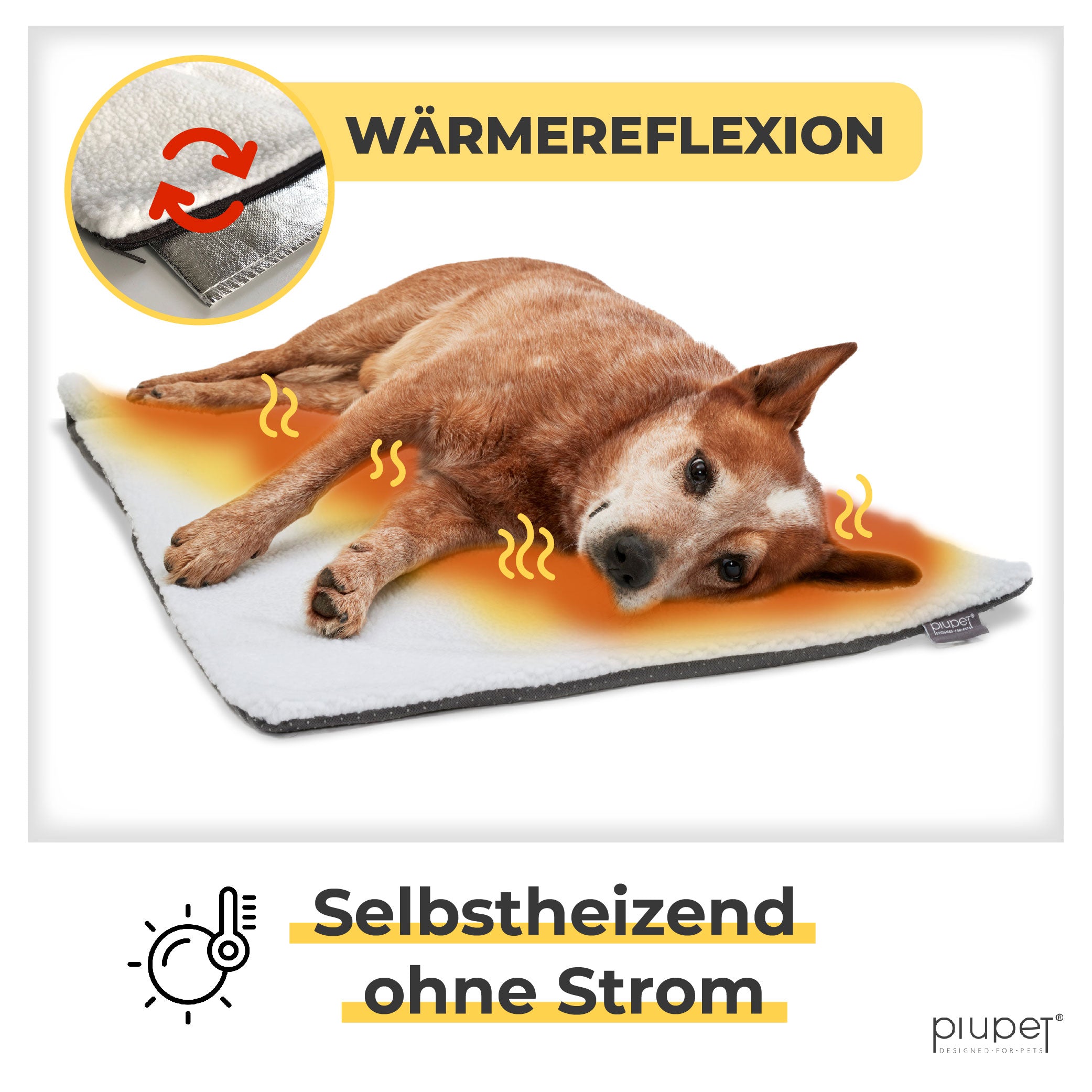 Hund liegt seitlich auf Wärmedecke mit Wärmereflexion