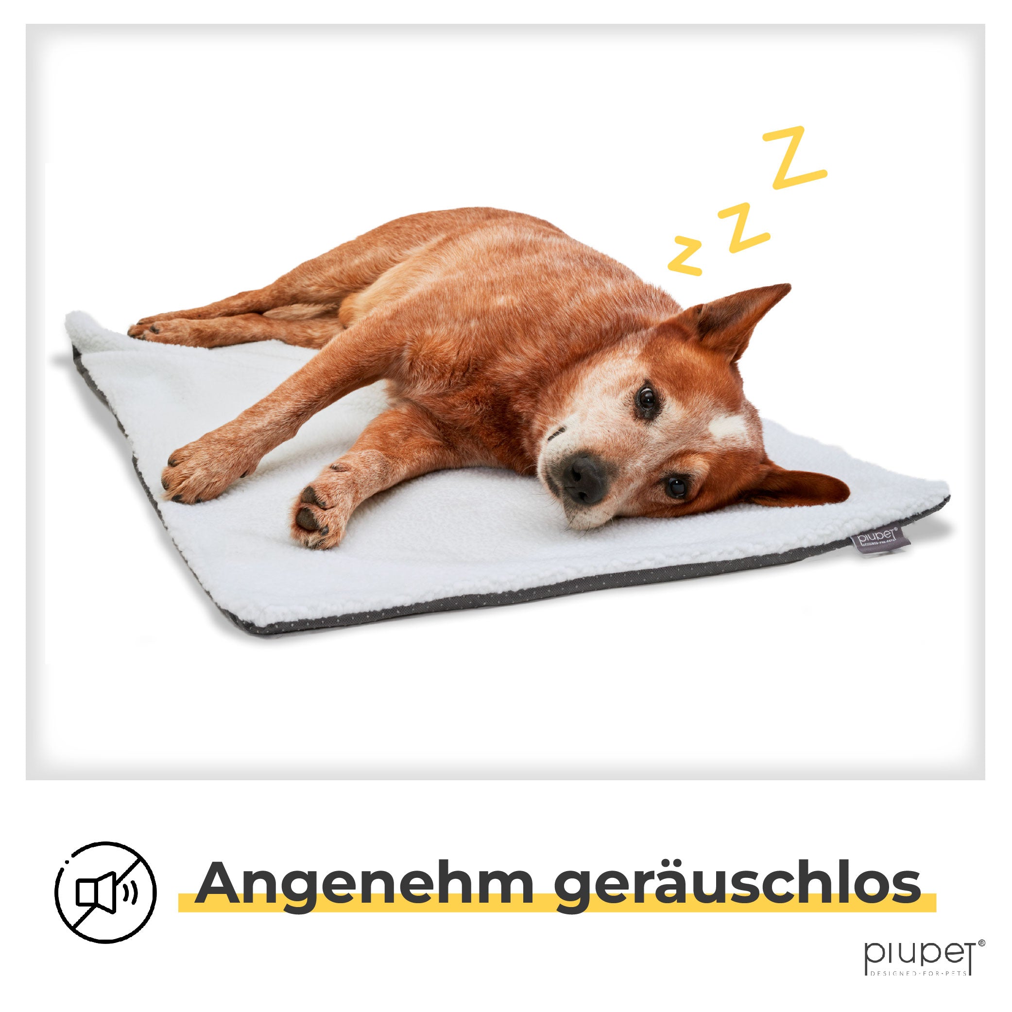 Hund schläft seitlich auf der Decke ohne Geräusche und Knistern