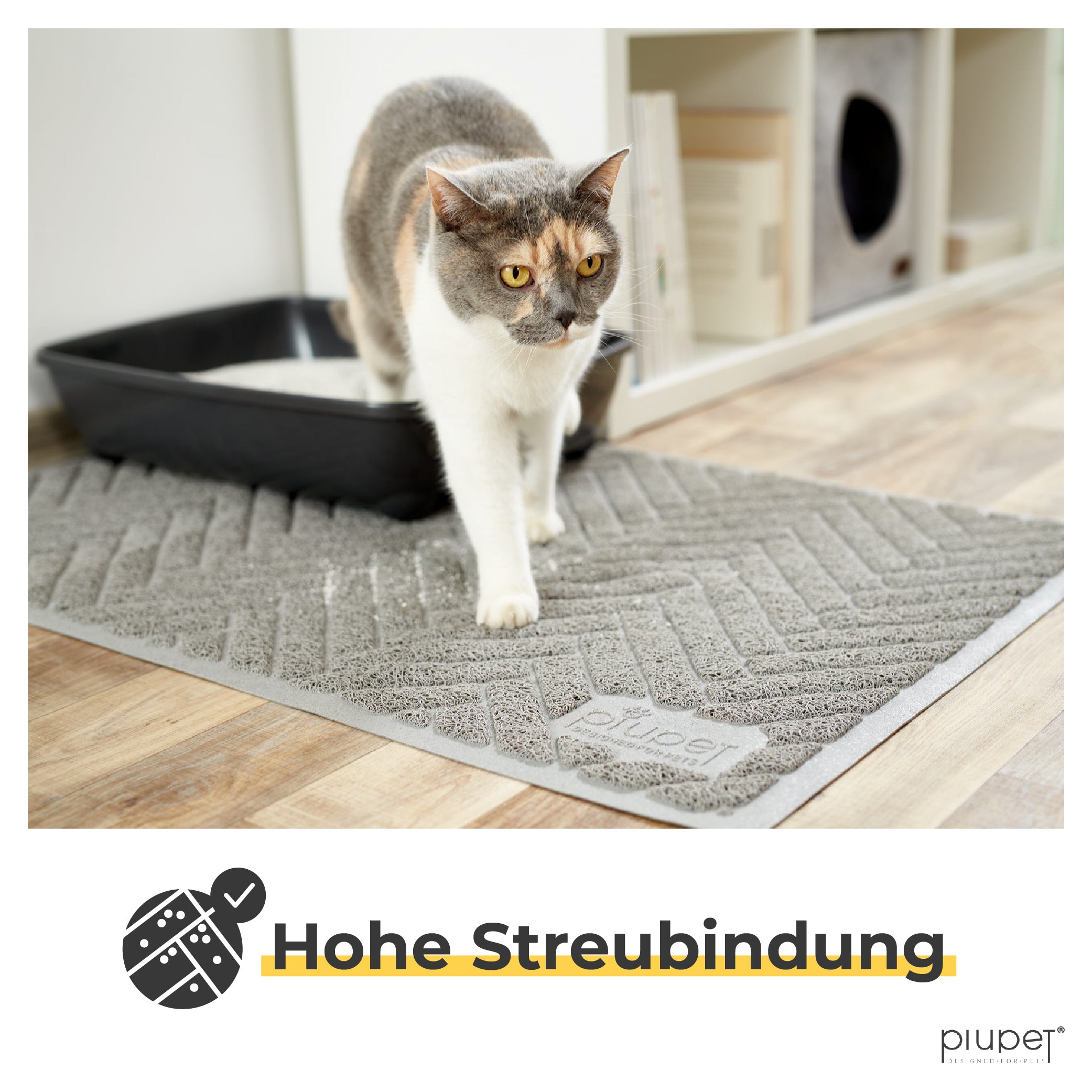 Katze steht halb auf der Streumatte und halb im Katzenklo