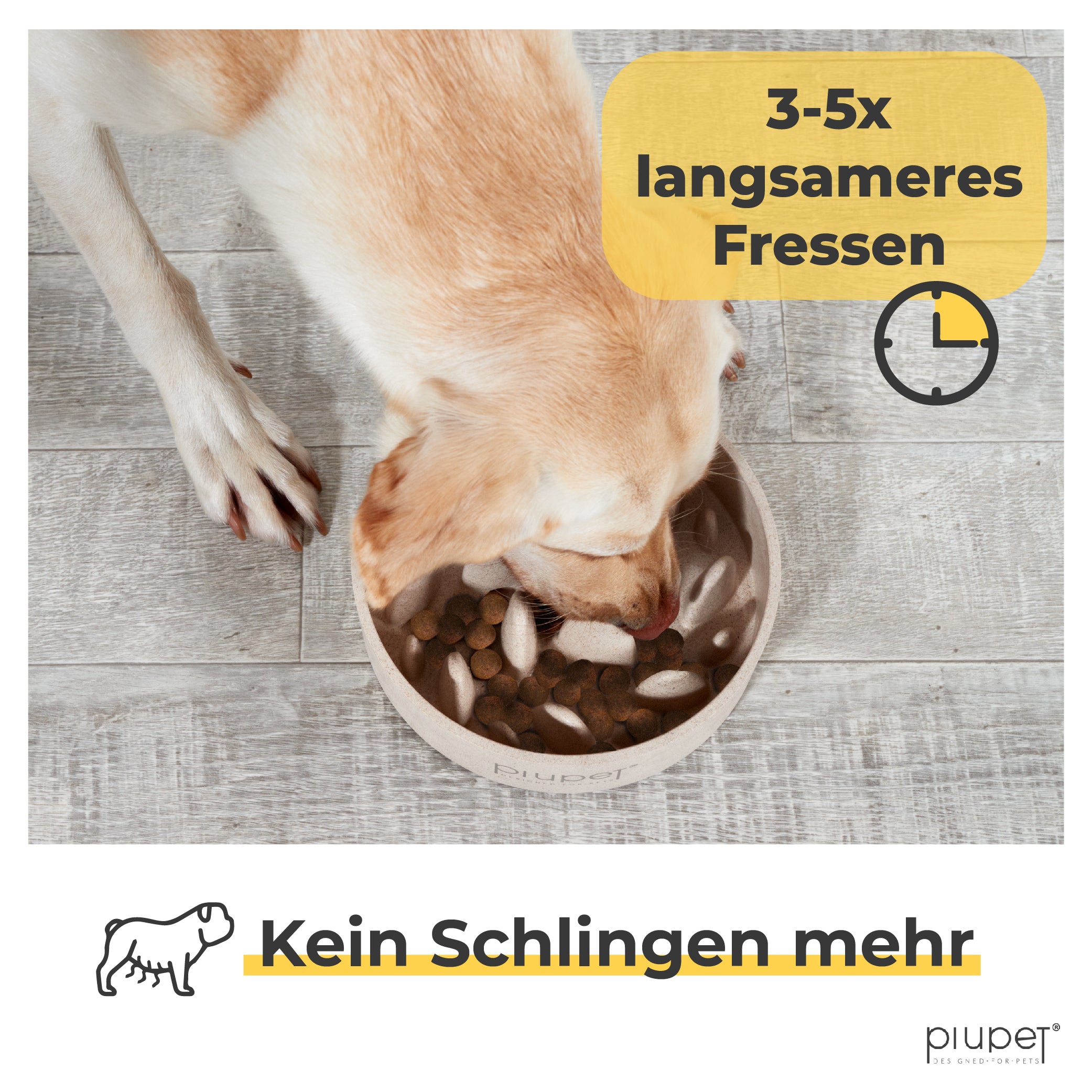 Großer Hund frisst aus Hundenapf. 3-5x langsameres Fressen ohne Schlingen