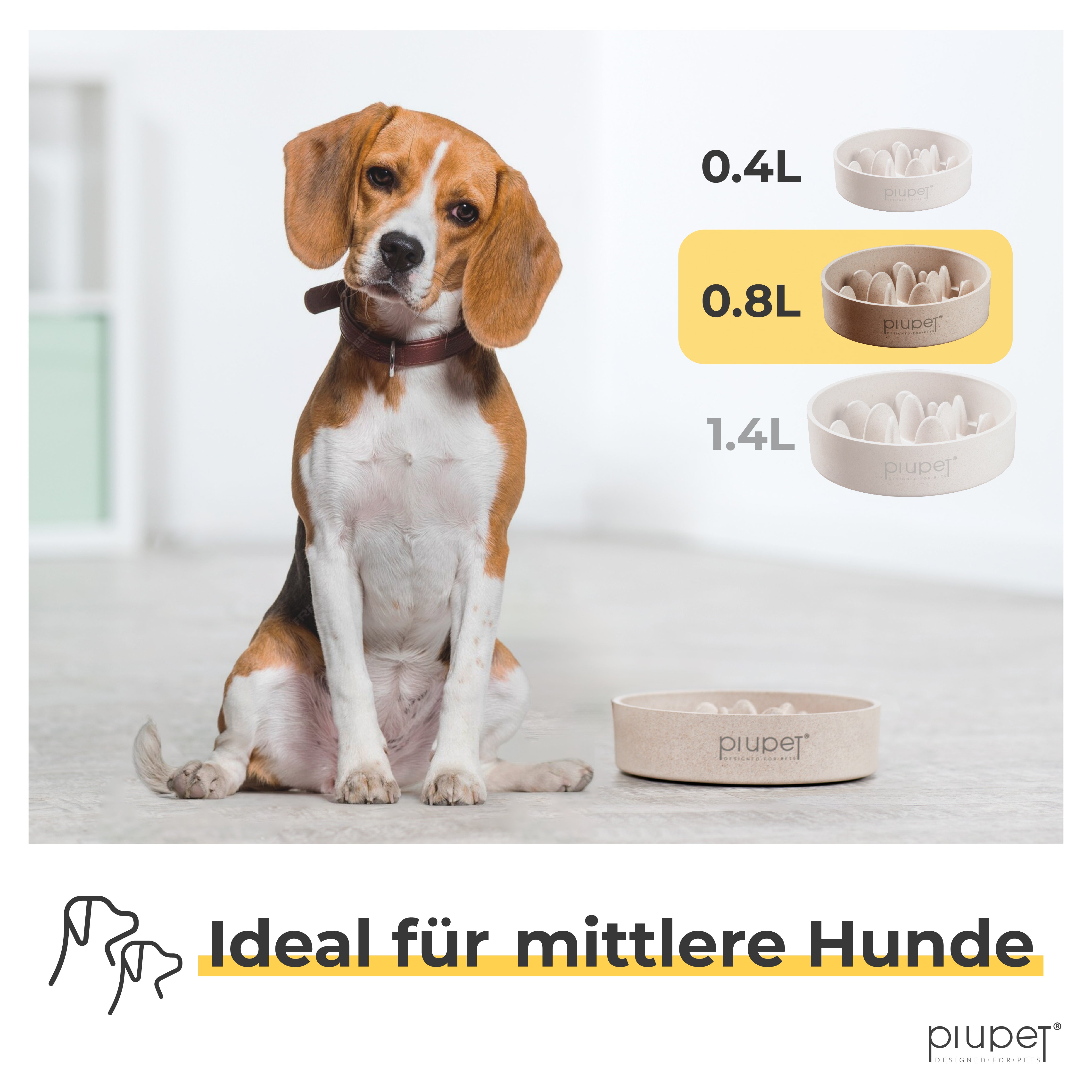 Hundenapf mit 0,8 Liter ideal für mittlere Hunde
