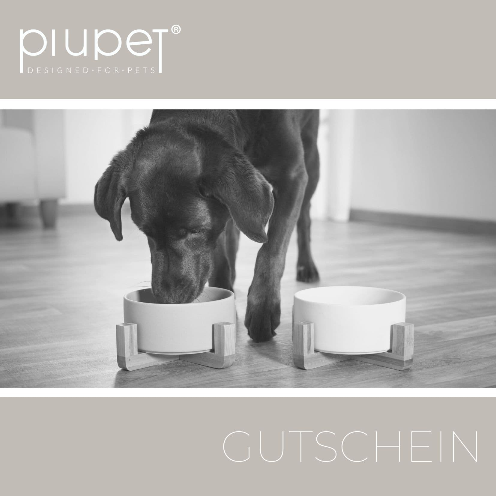 Gutschein "Doglover"