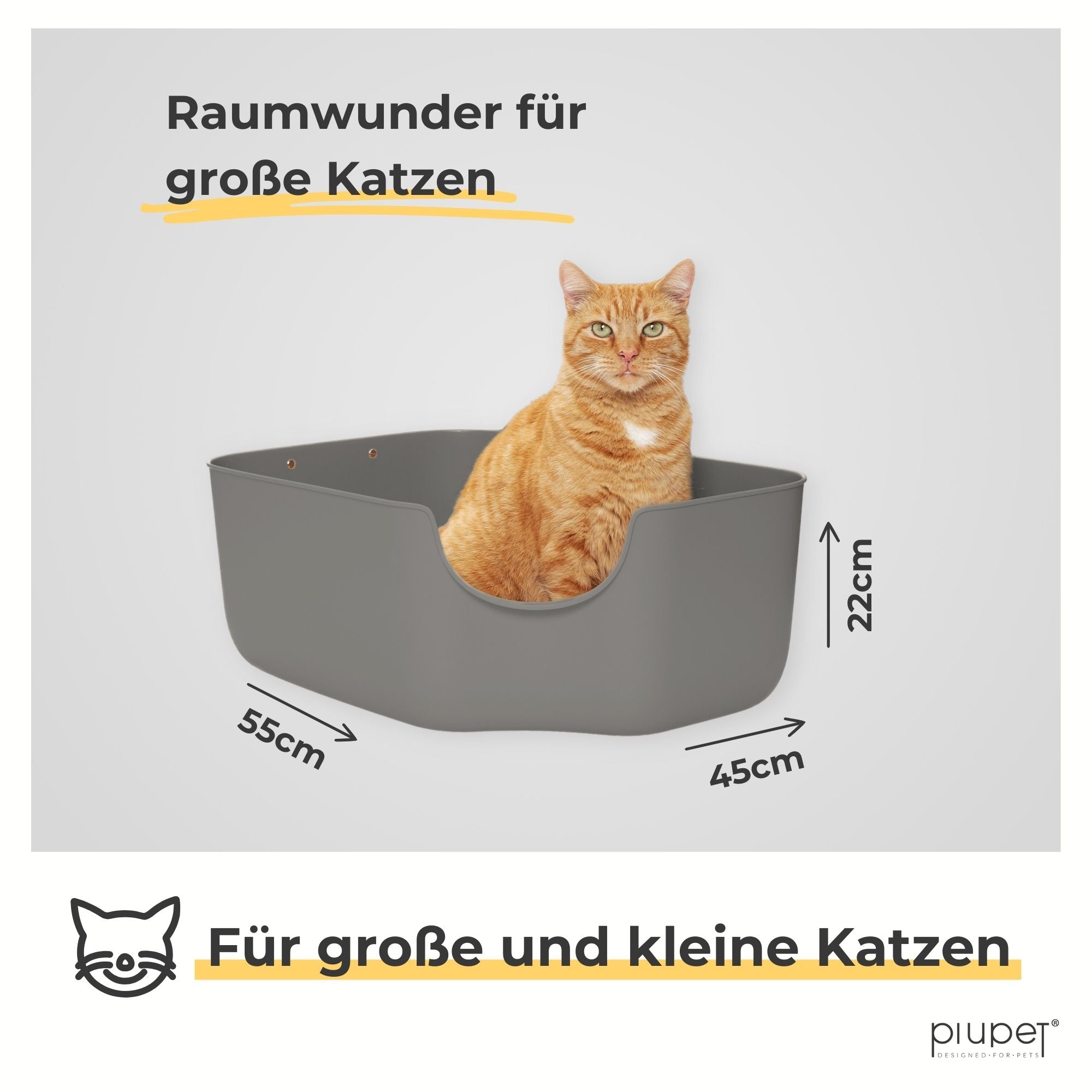 Große Katzentoilette mit hohen Wänden, 55 x 45 cm Grundfläche und 22 cm Höhe. Katze sitzt in der Toilette. Text: Für große und kleine Katzen.