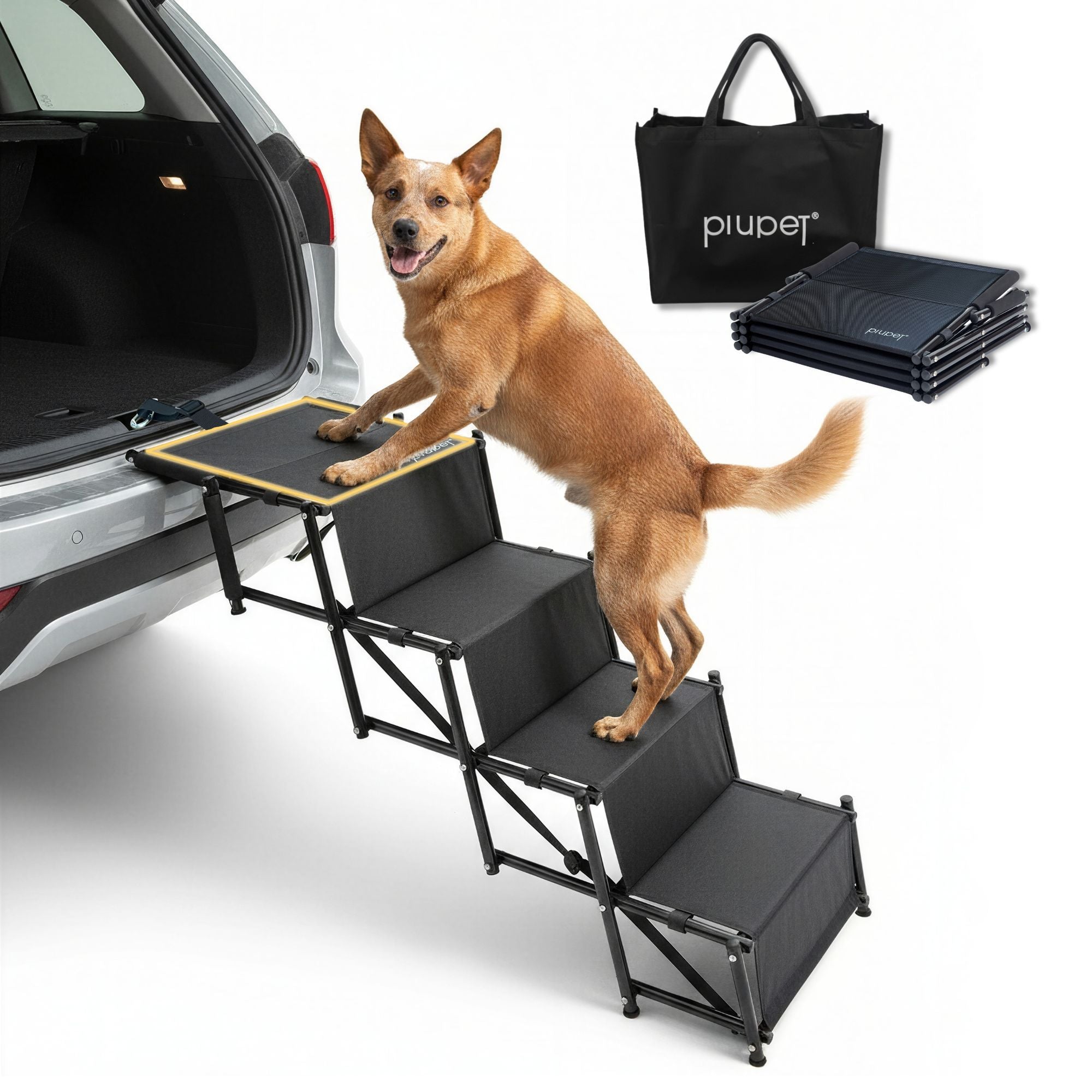 Hundetreppe 