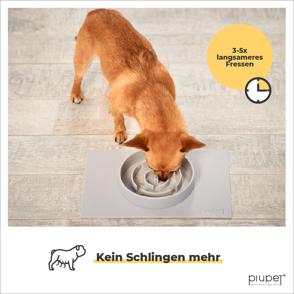 Hund frisst aus Napf für 3-5x langsameres Fressen ohne Schlingen