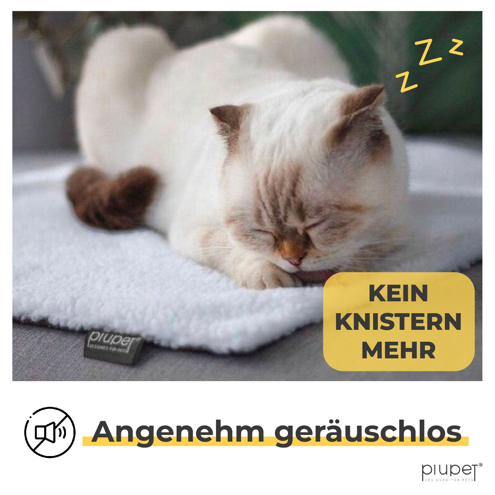 Katze schläft auf Decke