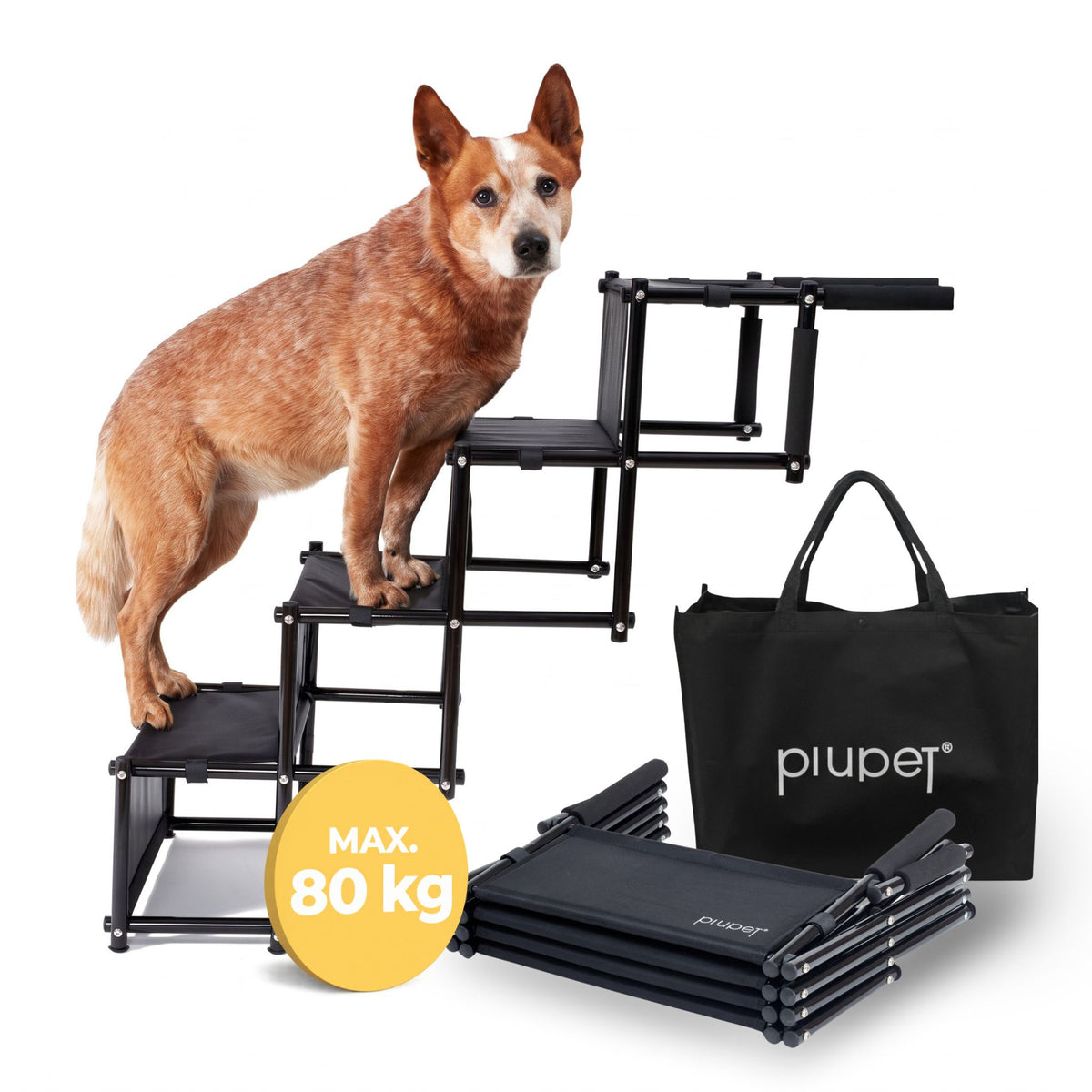 Hundetreppe "TONI"
