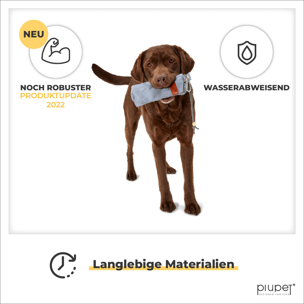 Hund hat Apportierbeutel im Mund