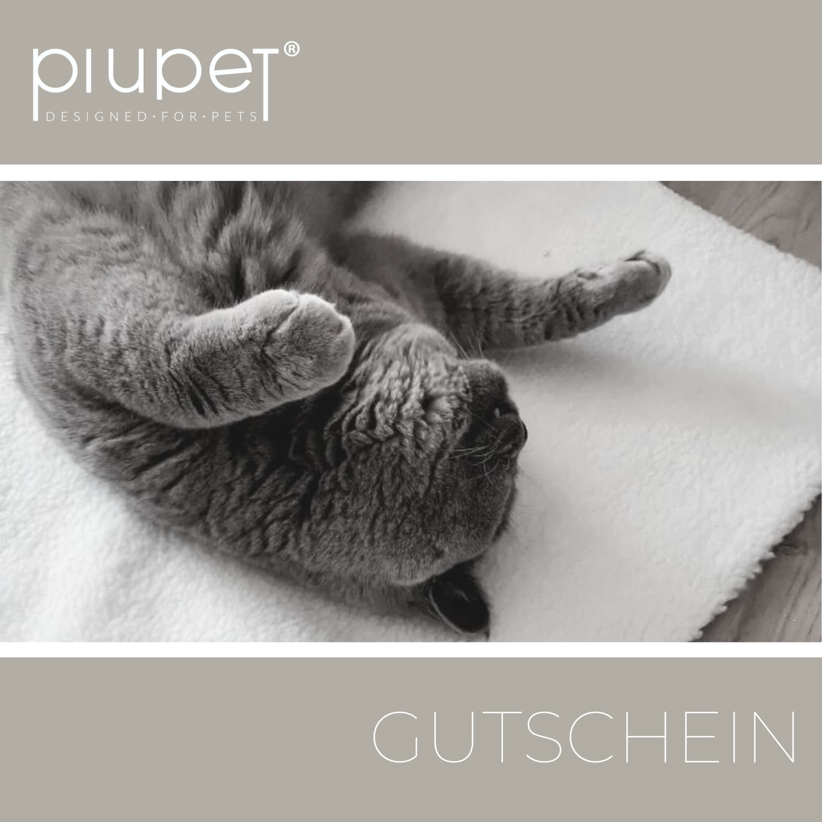 Gutschein "Catlover"