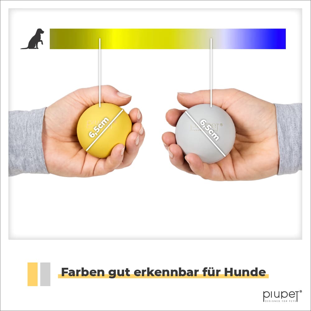 Farben der Hundebälle sind so ausgewählt, dass der Hund sie problemlos sehen kann