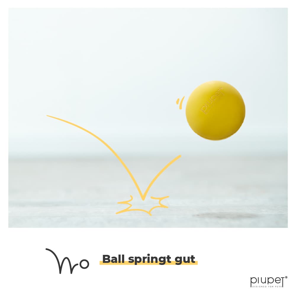 Hundeball springt