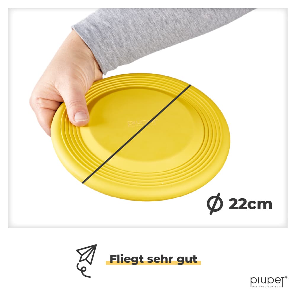 Durchmesser des Frisbees ist 22cm