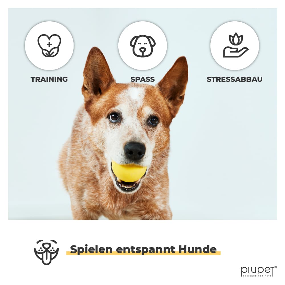Hundeball kann fürs Training, Spaß oder Stressabbau verwendet werden