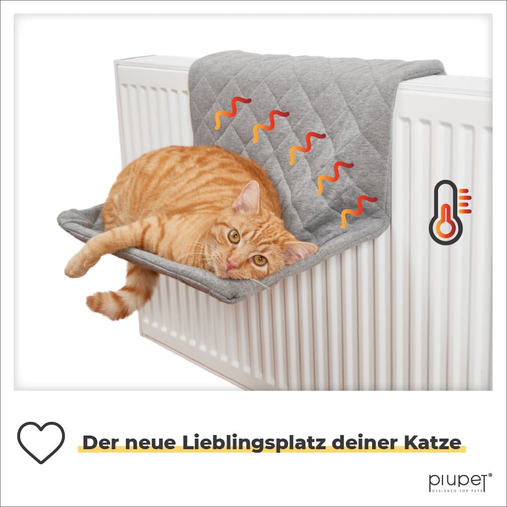 Katze liegt in der Hängematte und bekommt die Wärme der Heizung ab