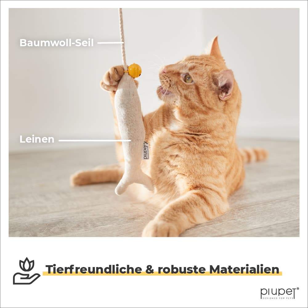 Katze spielt mit Katzenangel