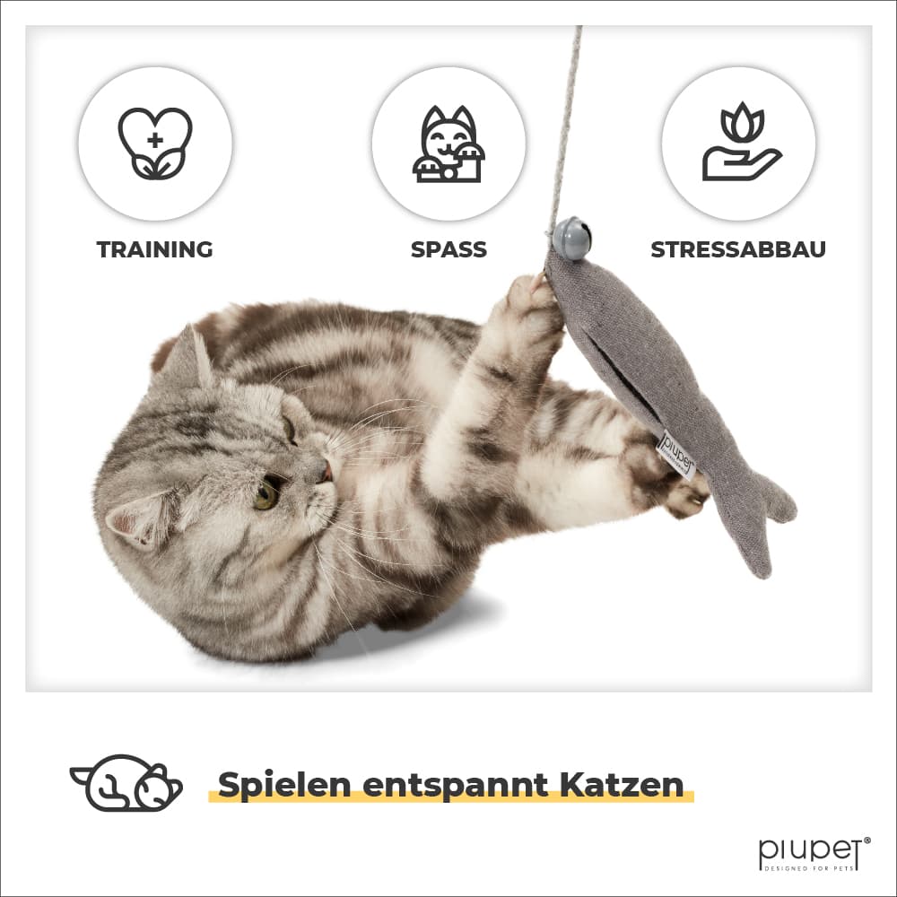 Katze spielt mit Katzenangel für Training, Spaß und Stressabbau