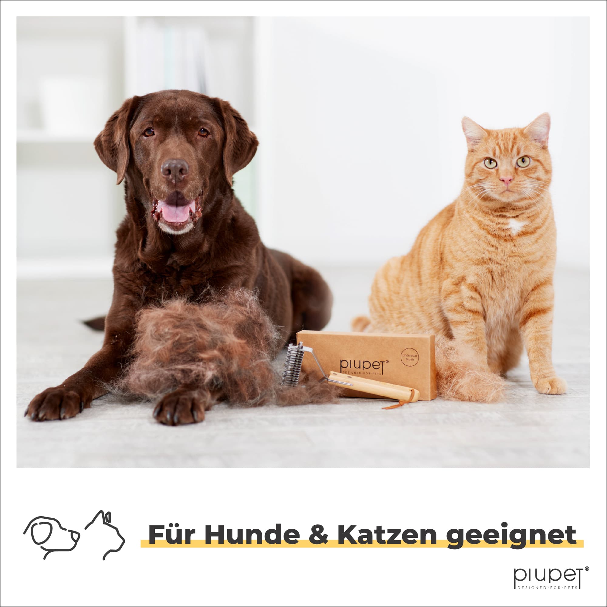 Brauner Hund und rote Katze neben Fellbürste, geeignet für Fellpflege von Hunden und Katzen