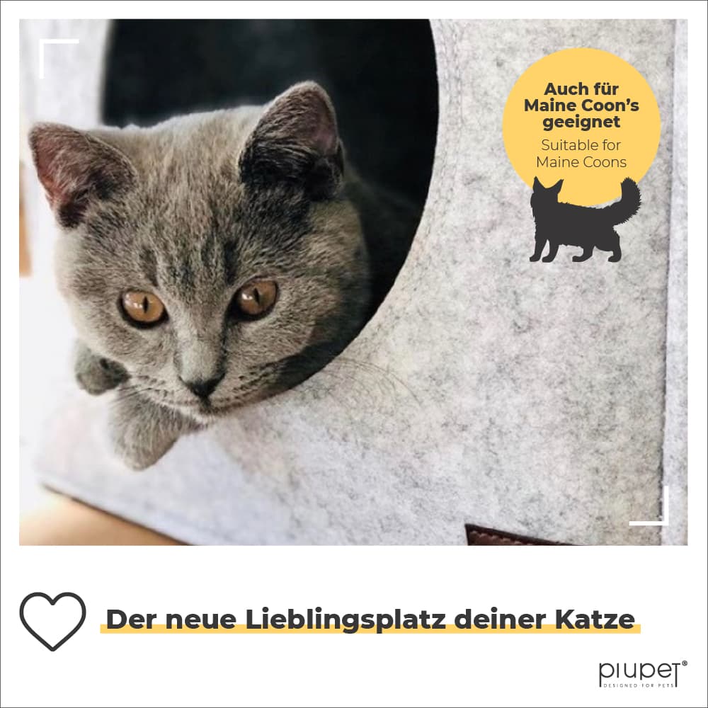 Katze liegt in Katzenhöhle und streckt den Kopf raus