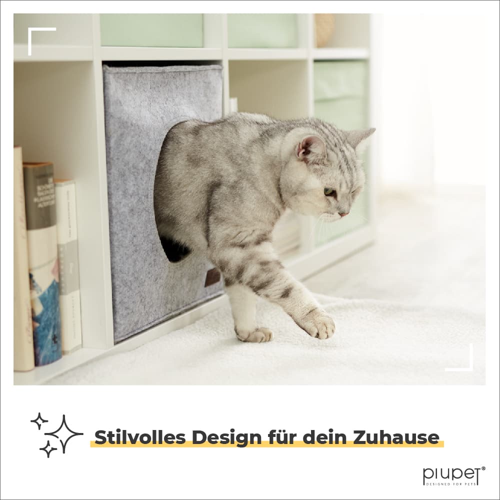 Katze steigt aus Katzenhöhle aus