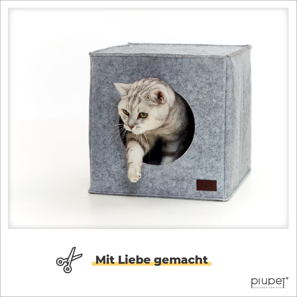 Katze steigt aus Katzenhöhle aus