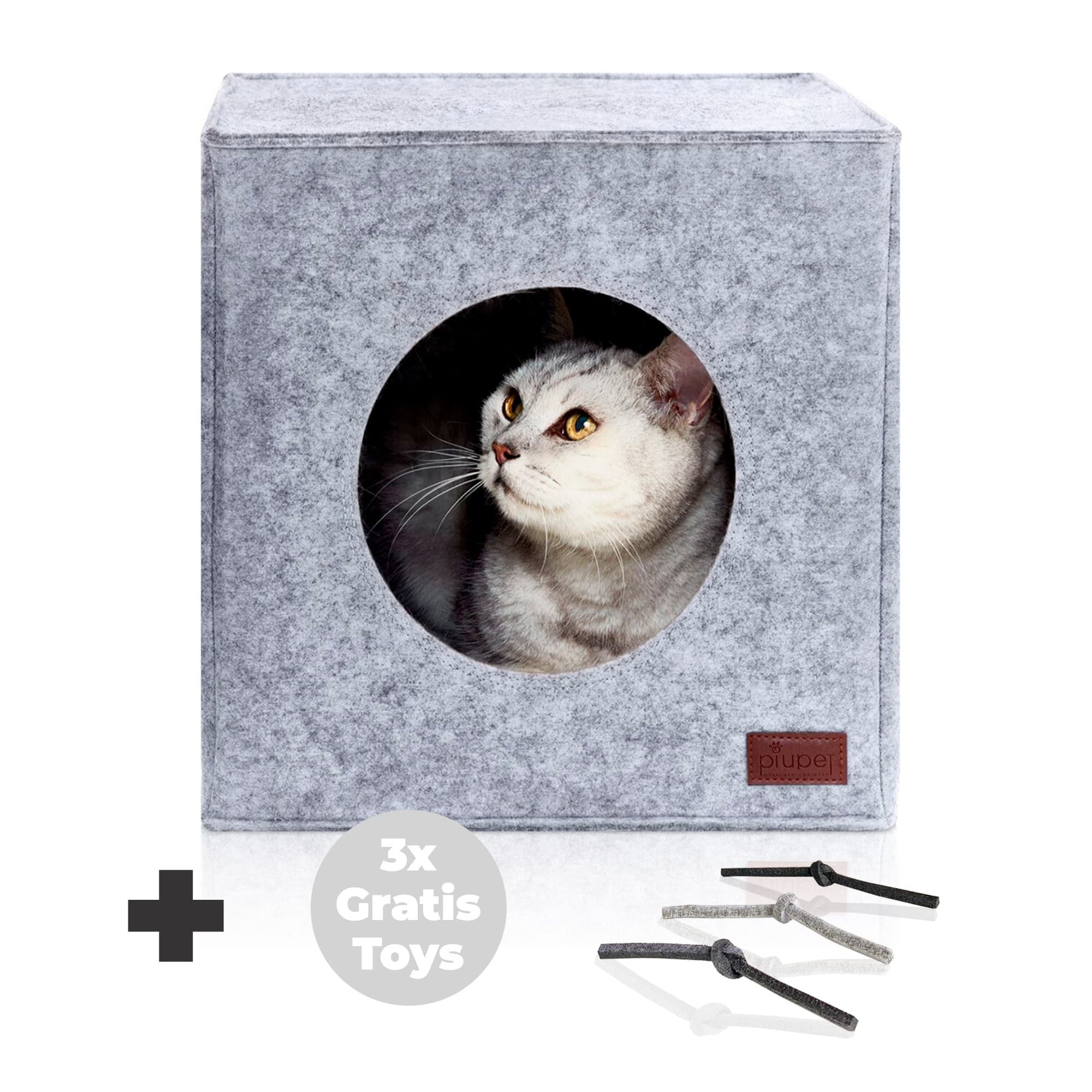 Katze sitzt in Katzenhöhle