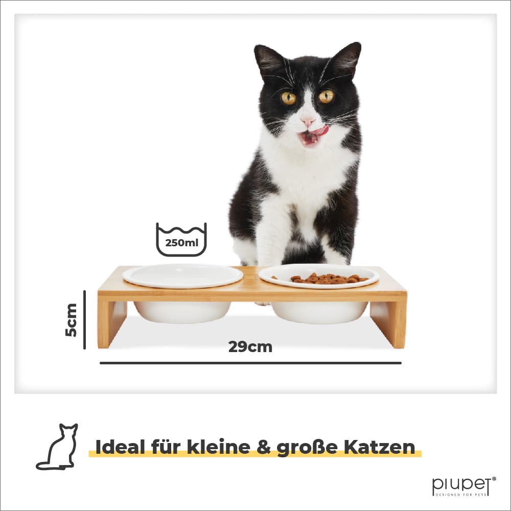 Katze sitzt vor Katzennapf. Maße: 29cmx5cm, 250ml Fassungsvolumen