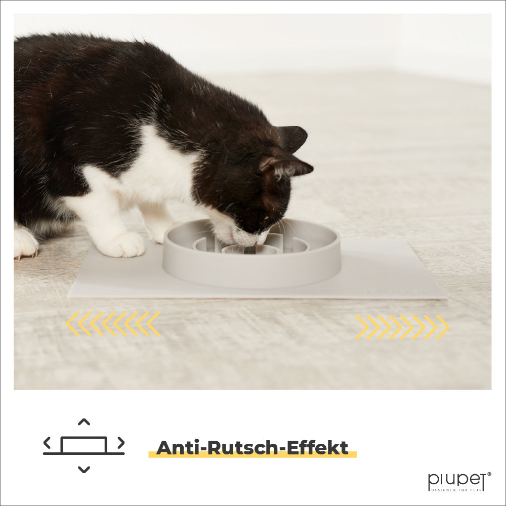 Katze frisst aus Napf, ohne dass der Napf verrutscht