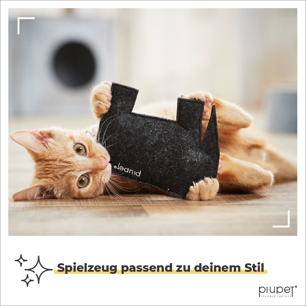 Katze spielt auf dem Rücken mit Spielzeug und beißt rein