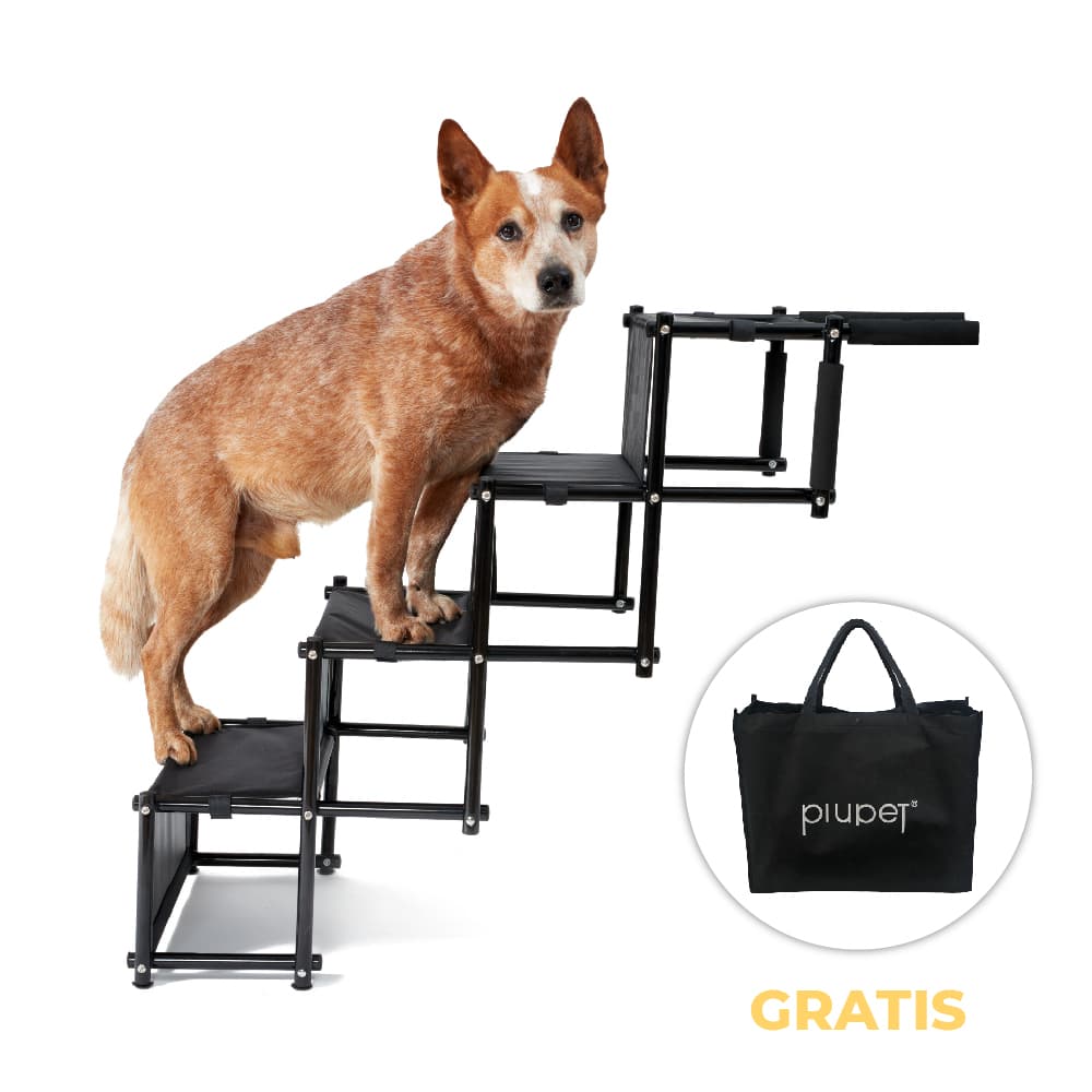 Hundetreppe wird mit gratis Hundetasche geliefert
