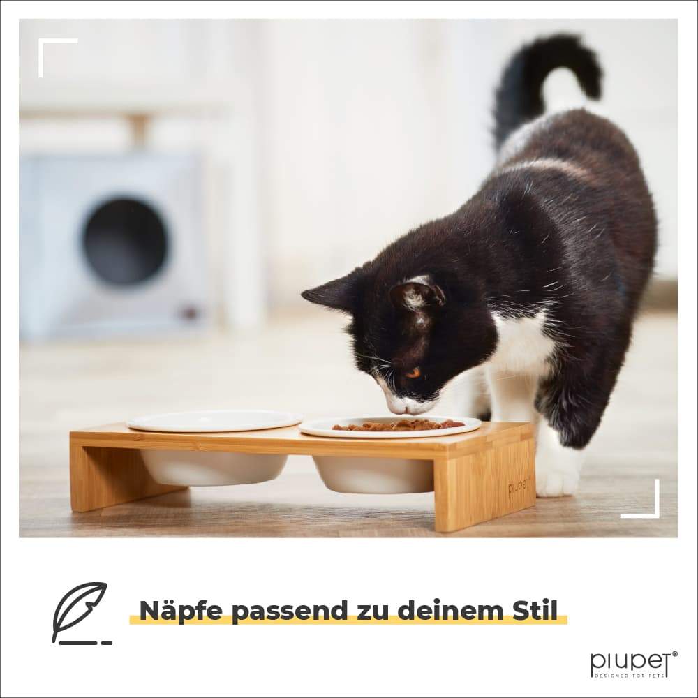 Katze frisst aus Katzennapf