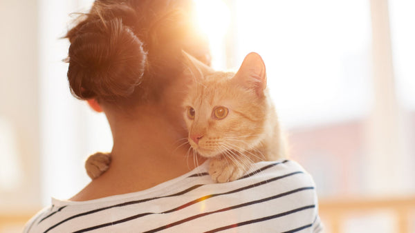 10 Anzeichen dafür, dass deine Katze dich liebt: Entdecke die Zeichen der Zuneigung