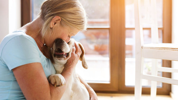 10 Anzeichen dafür, dass dein Hund dich liebt: Eine Liebeserklärung auf vier Pfoten
