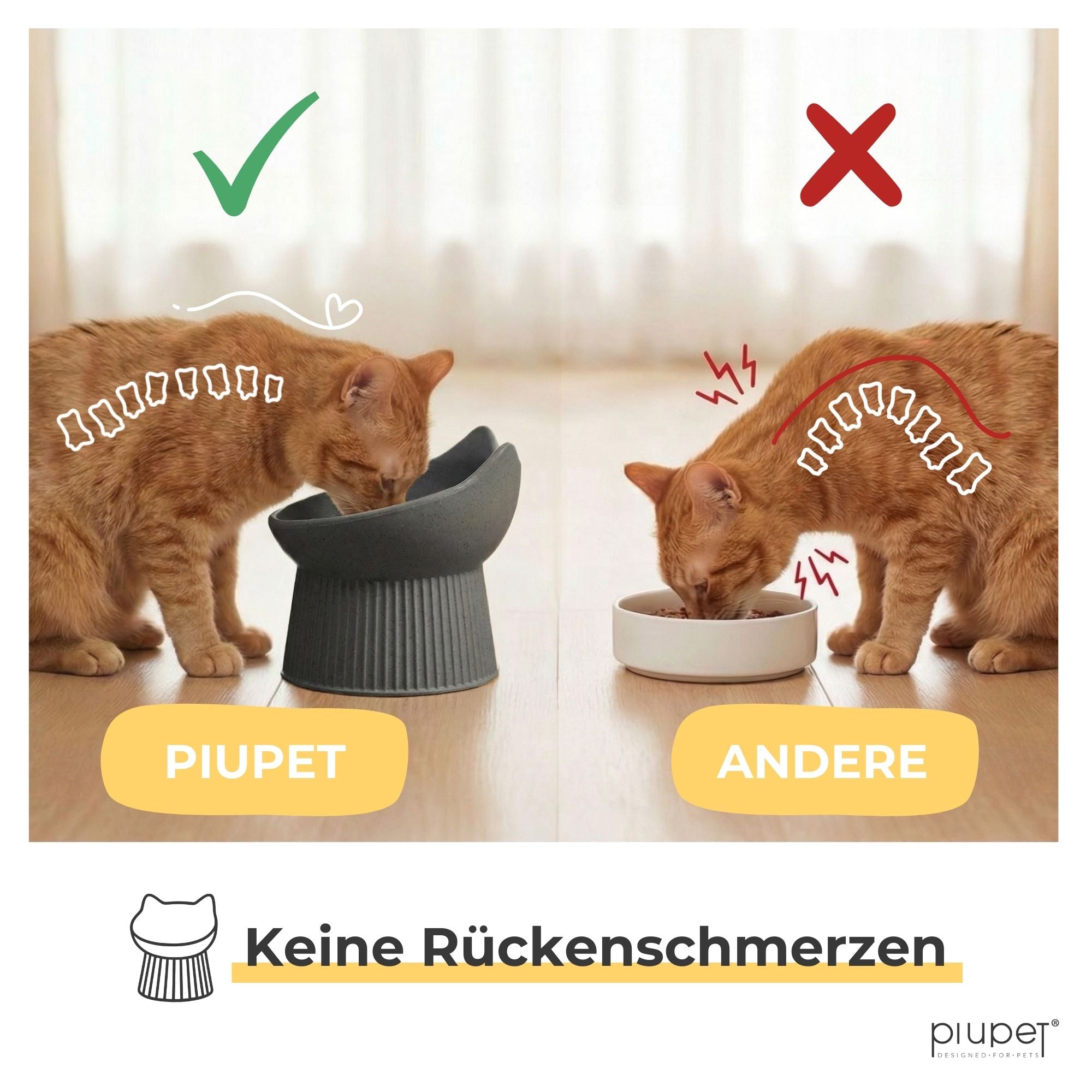 Erhöhter Katzennapf "ALMA"
