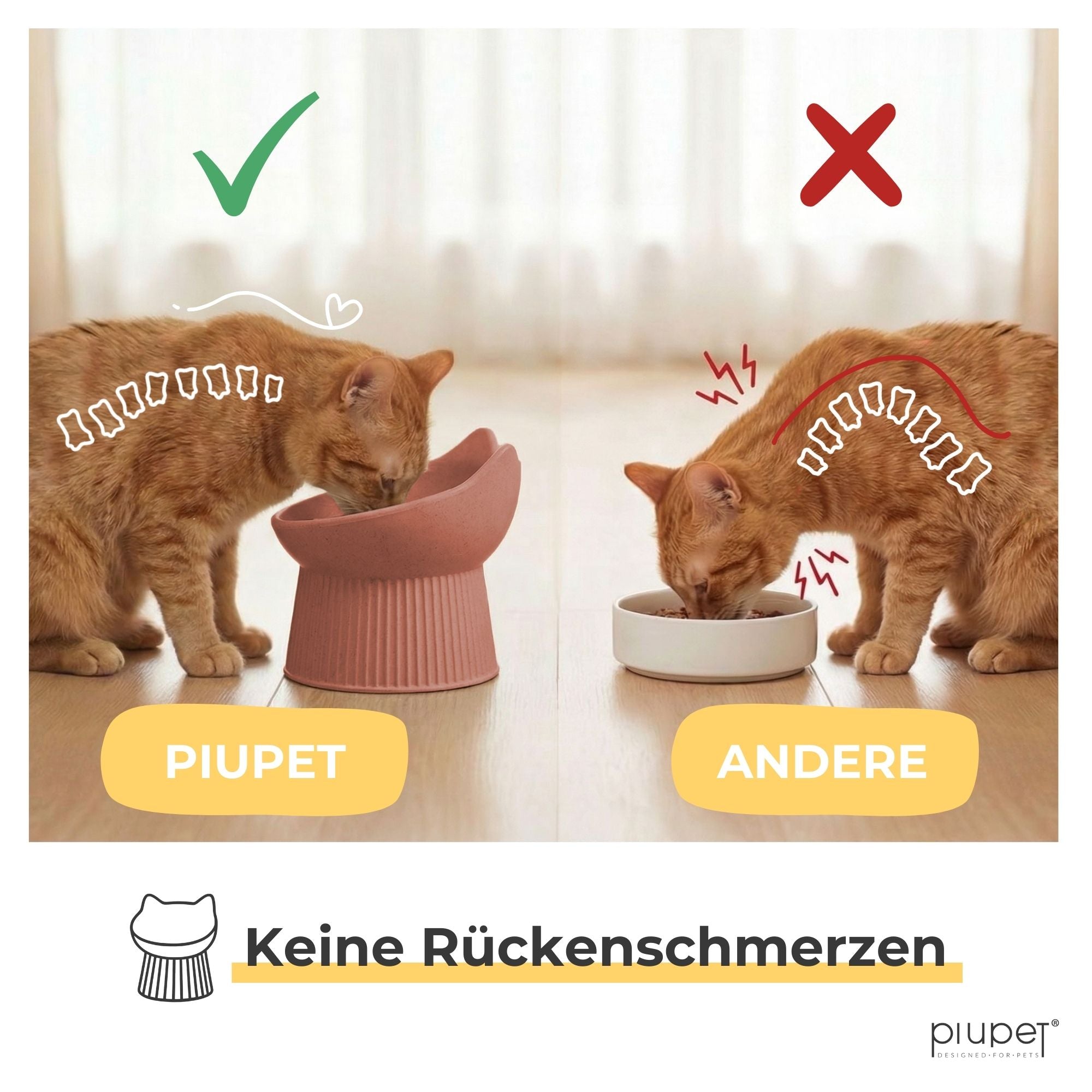 Erhöhter Katzennapf "ALMA"