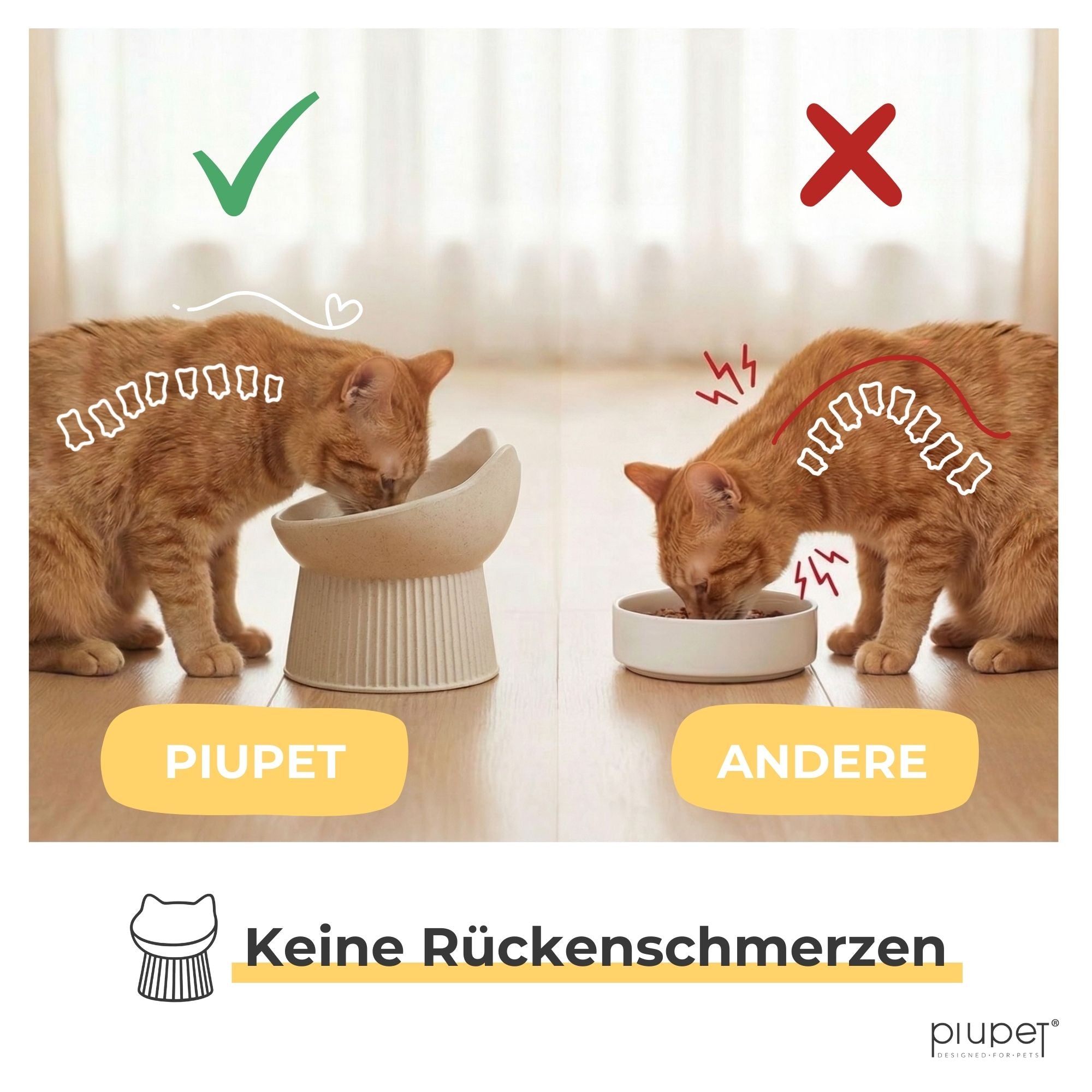 Erhöhter Katzennapf "ALMA"
