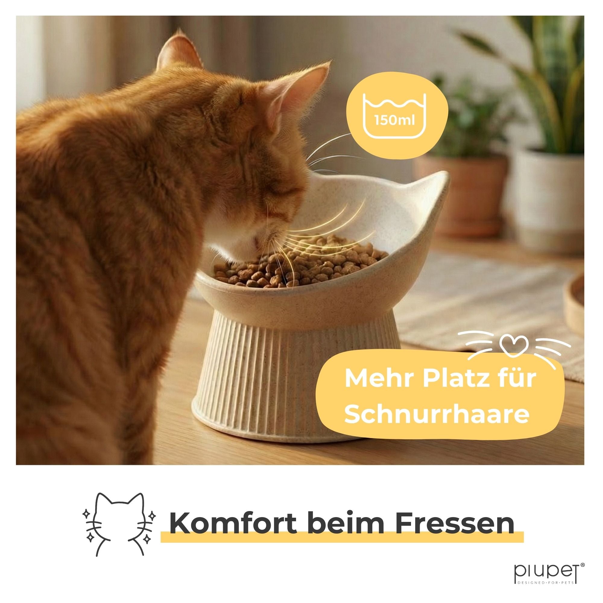 Erhöhter Katzennapf "ALMA"