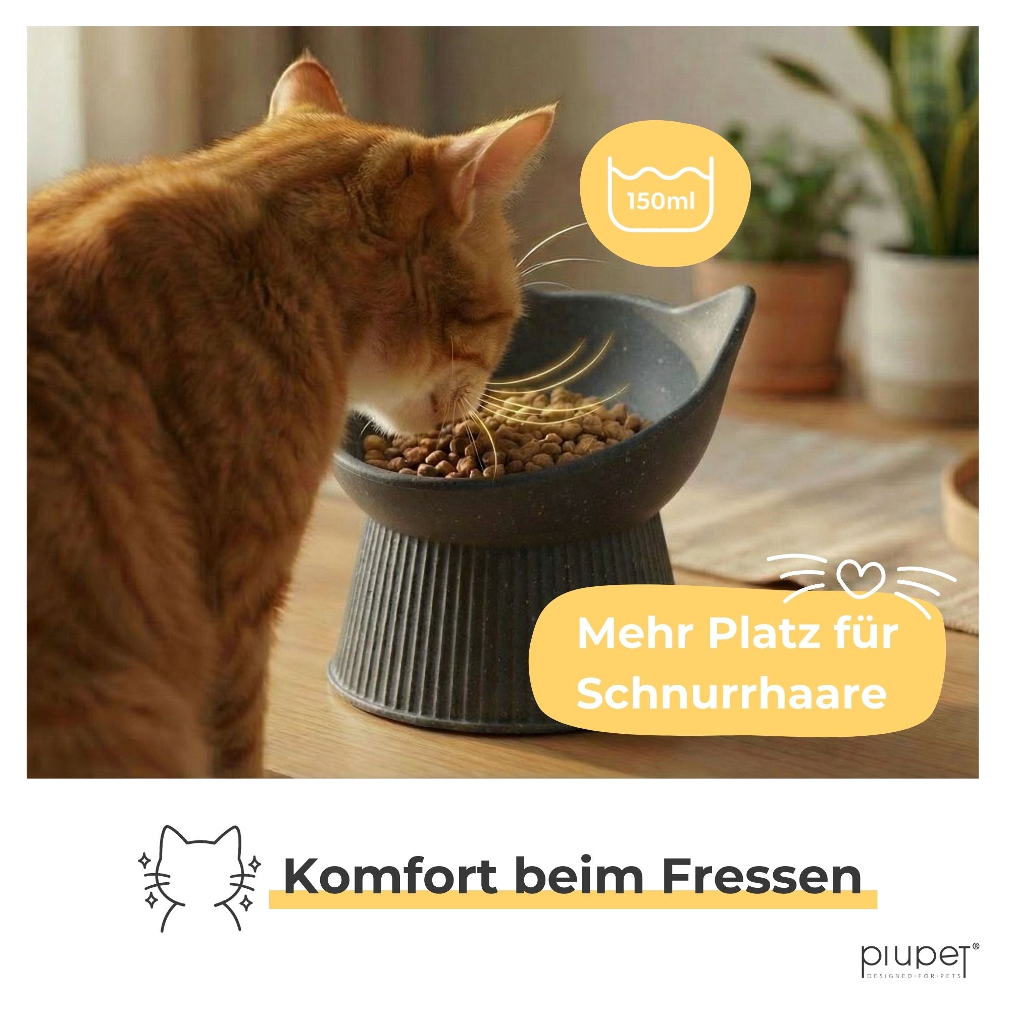 Erhöhter Katzennapf "ALMA"