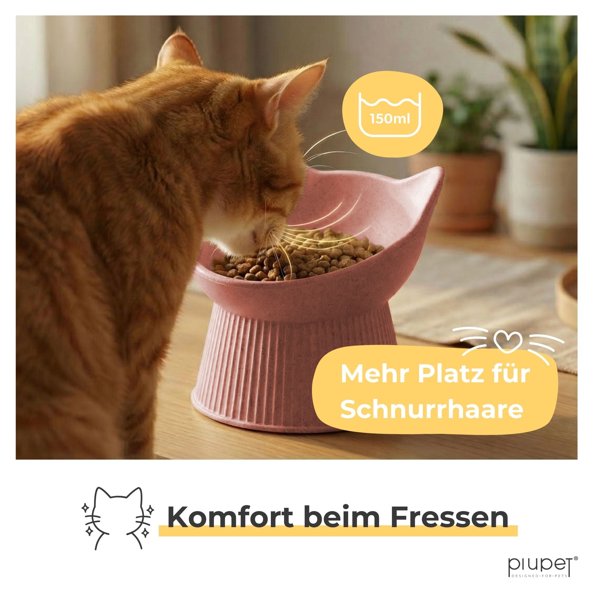 Erhöhter Katzennapf "ALMA"