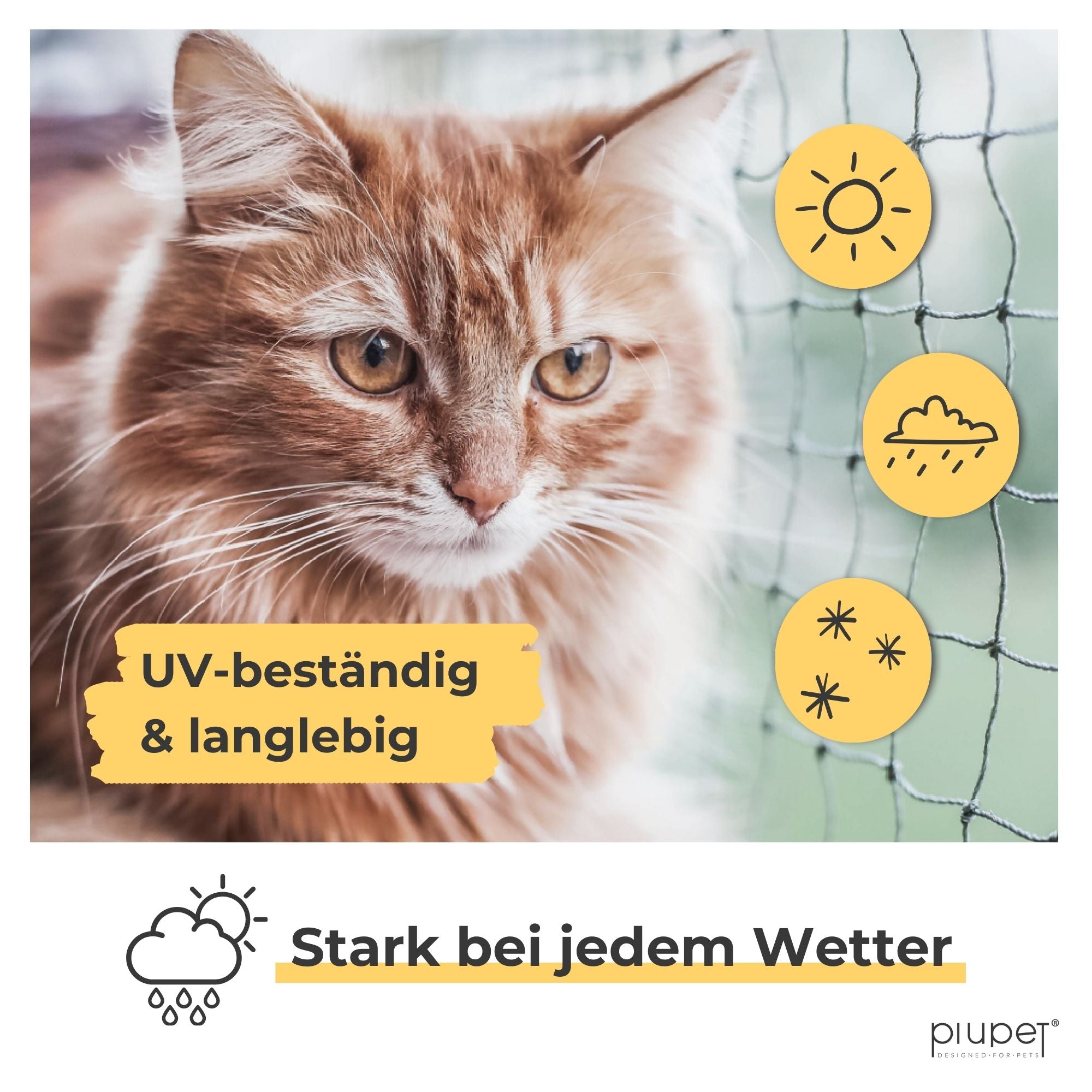 Katze vor Katzennetz – wetterfest und UV-beständig.