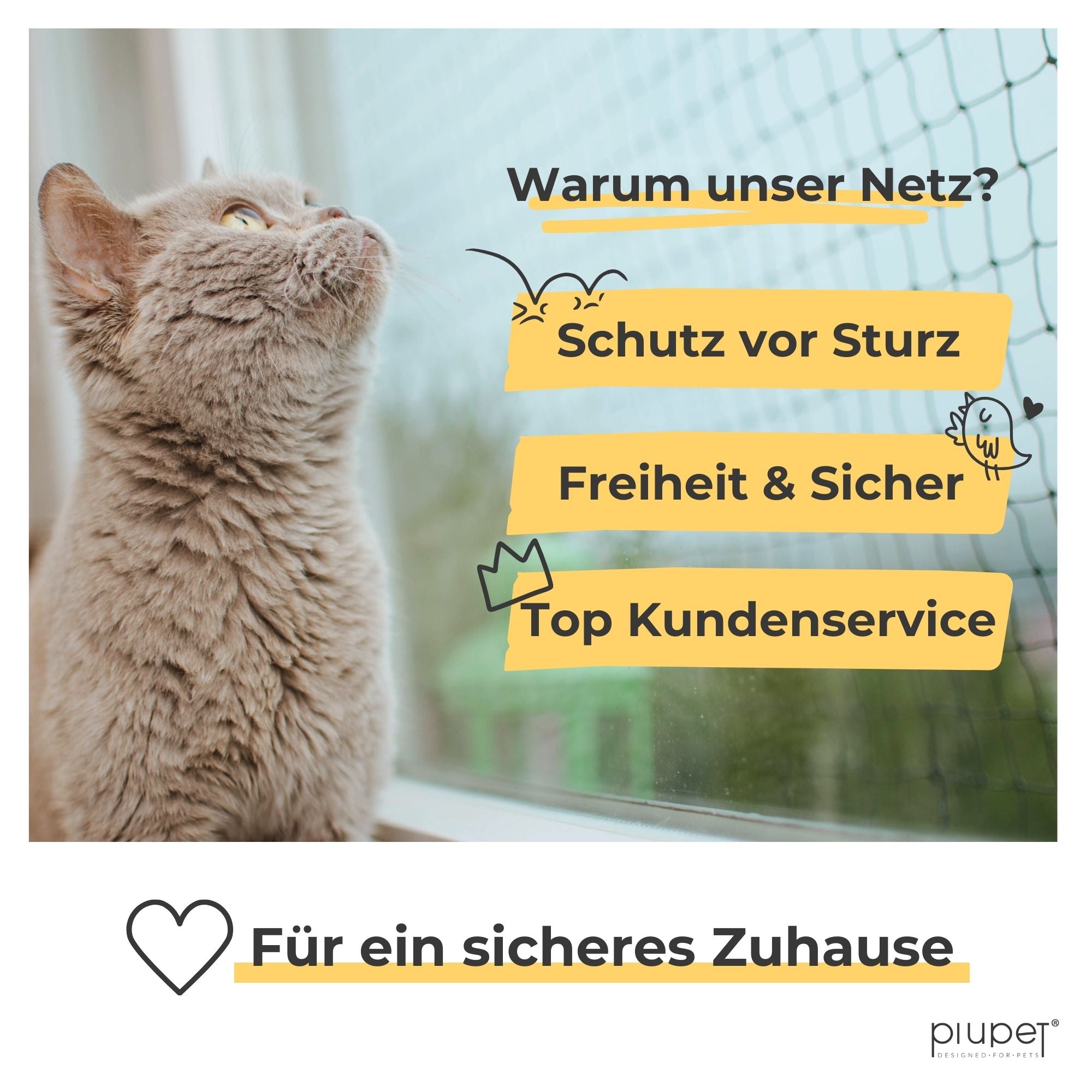 Katze schaut nach oben am Fenster mit Katzennetz. Text: ‚Warum unser Netz? Schutz vor Sturz – Freiheit & Sicher – Top Kundenservice