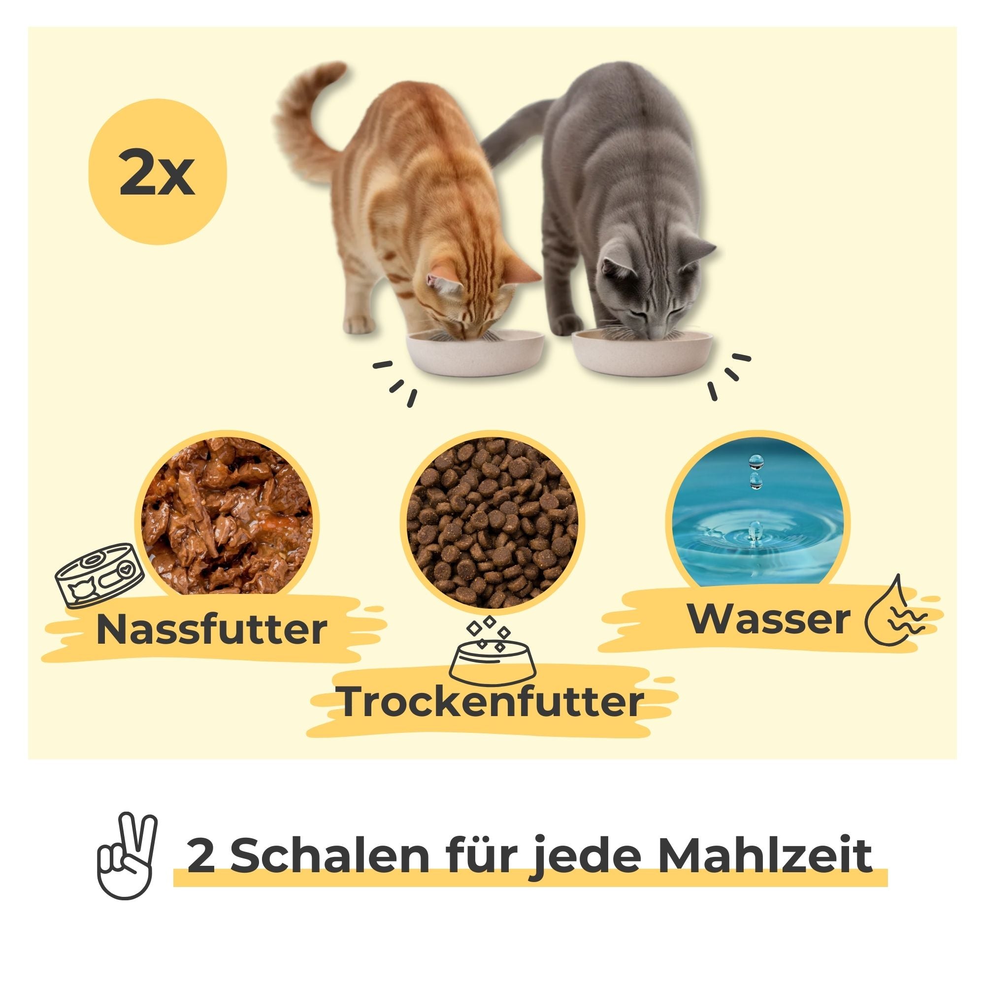 Zwei Katzen fressen aus je einem beigen Katzennapf – 2 Schalen geeignet für Nassfutter, Trockenfutter oder Wasser