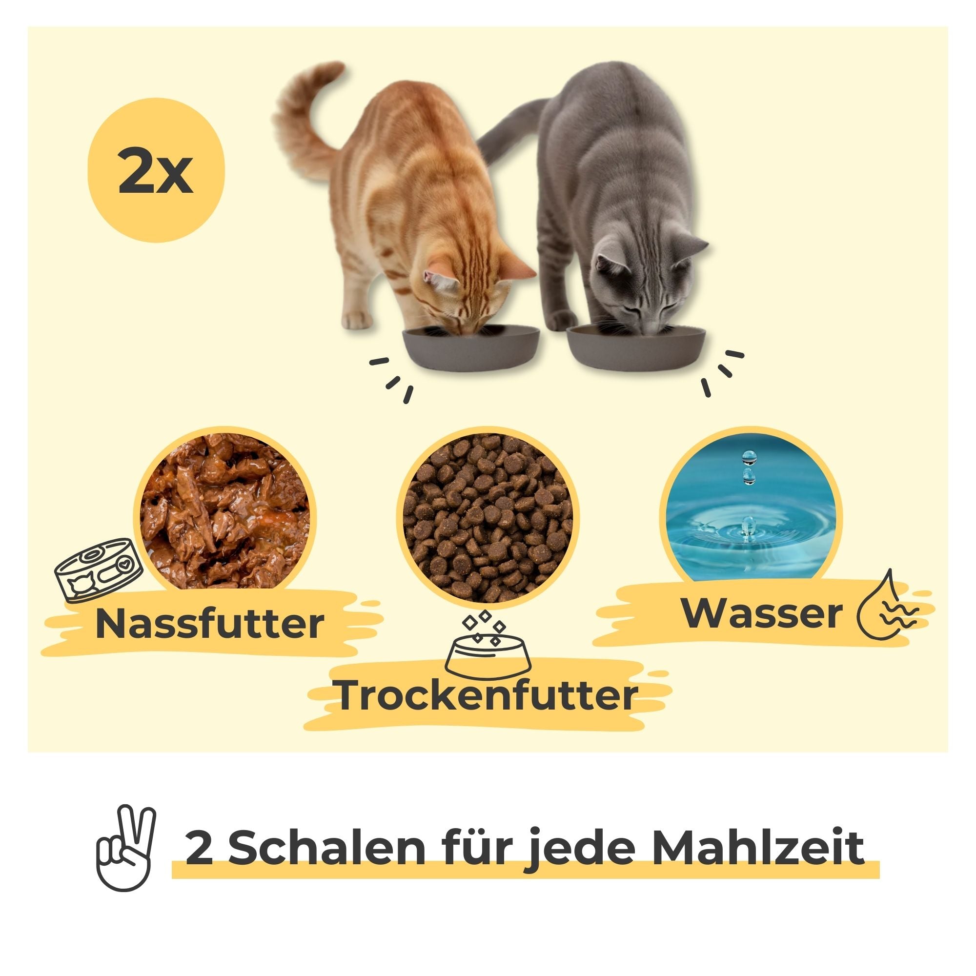 Zwei Katzen fressen aus je einem grauen Katzennapf – 2 Schalen geeignet für Nassfutter, Trockenfutter oder Wasser