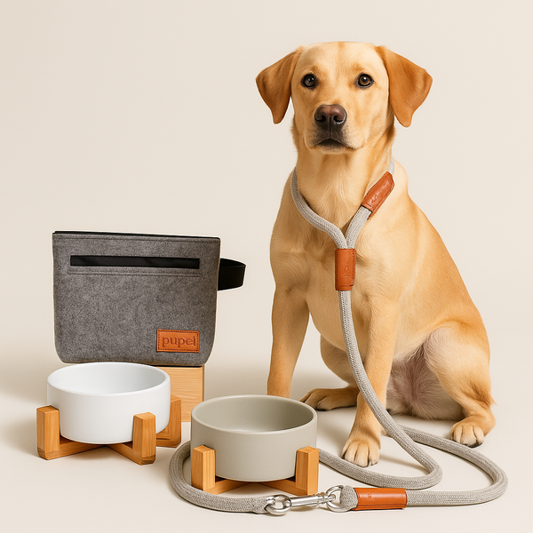 Starter-Set „Welcome Dog“