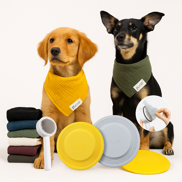 Geschenkset „Happy Dog“
