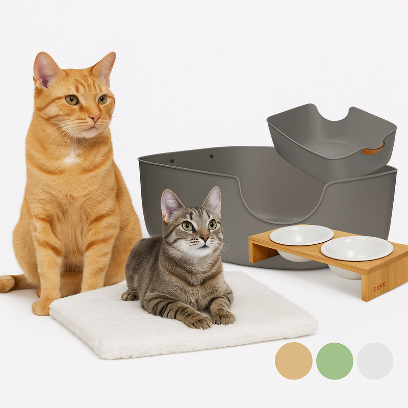 Starter-Set „Welcome Cat“